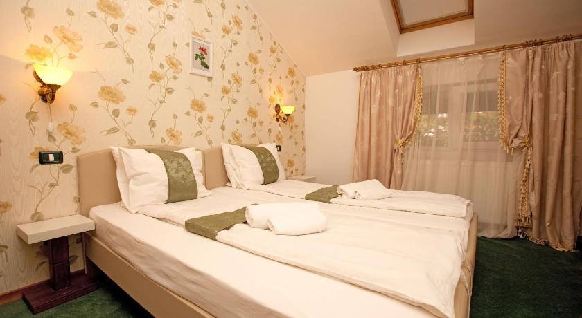 Pension Dinu Residence Тимишоара Екстериор снимка